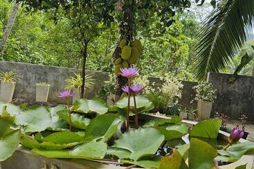 Отель Ellakanda Nature Villa