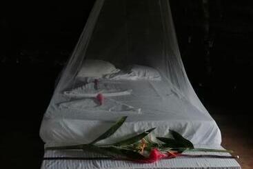 旅馆 Ditsowou Lodge & Tours