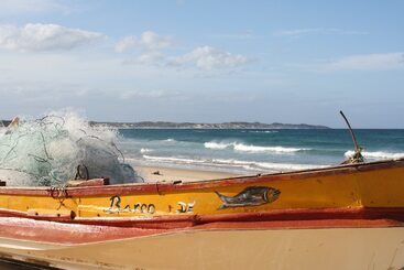 Общежитие Mozambeat Motel