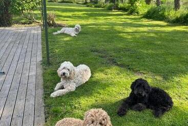 צימר Brownrigg Half A House & Garden