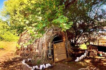 膳宿费 Salatoos Mango Garden And Guesthouse