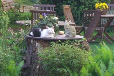 Spreewaldpension Beesk