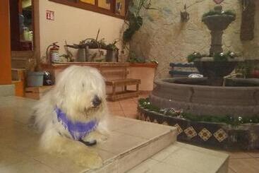 پانسیون Habitación Cuádruple En Casa Compartida