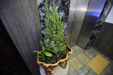 מוטל Cheongju Buks79