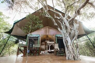 Tribe Yala Luxury Camping