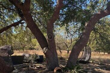 Курорт The Cedars Ranch