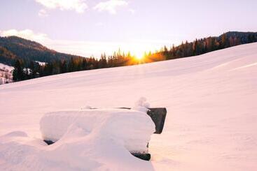 ホテル Alpengasthof Moser