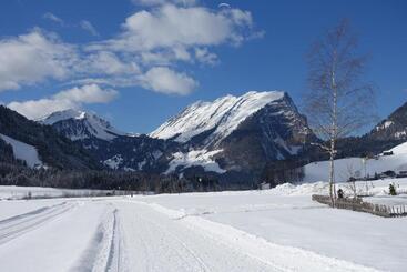 Отель Pension Haus Romy