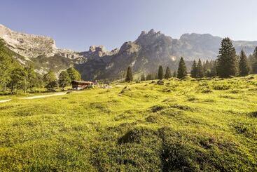 ホテル Aja Bergresort Werfenweng