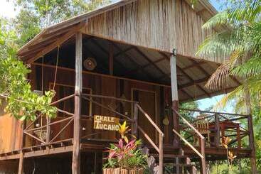 リゾートホテル Ponta Poranga Jungle Lodge