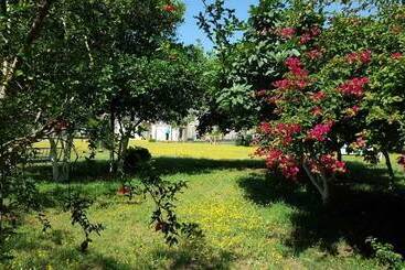 Saint Francis Bed & Breakfast