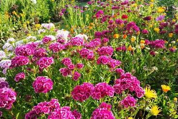 ベッドアンドブレックファースト Blooming Delight Tauranga