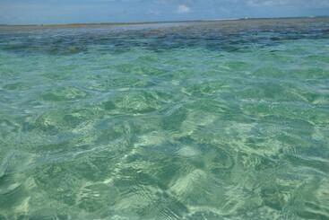 Hostel E Pousada Milagres Da Terra