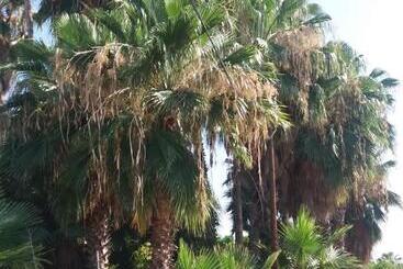 פנסיון La Playita Hostal