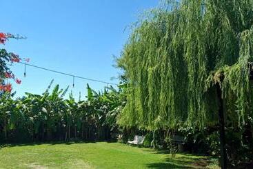 تختخواب و صبحانه Posada Las Hortensias