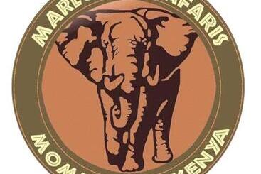Marlomani Safaris