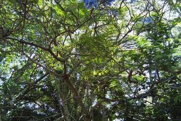 پانسیون Amigos Imaginarios