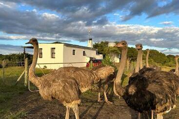 膳宿费 Ostrich Cottage At Les Wings Private Game Farm