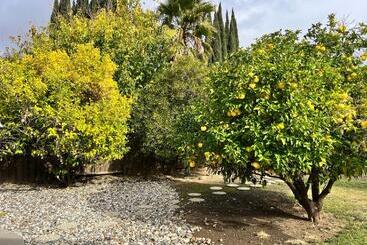 פנסיון Zeekap Homes