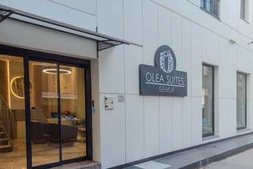 公寓式酒店  Olea Suites Otel