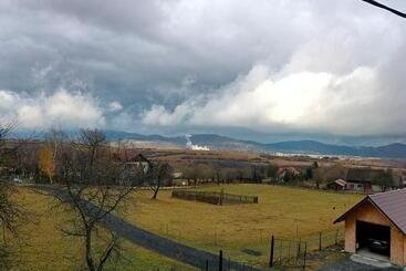 Пансион Casa Vicu