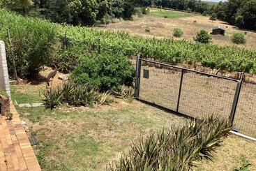 פנסיון Roland’s Valley Art Accommodation