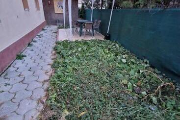 호스텔 Casa Thomas Cluj