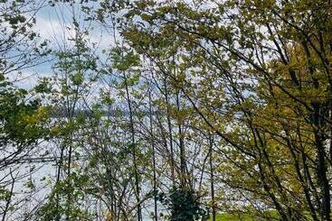 הוסטל Restaurant Seeblick Direkt Am Schweriner See