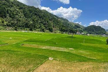 Отель Homestay Hoà Thảo