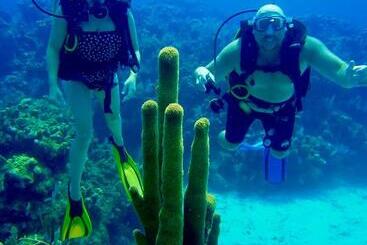 리조트 Villas De Cisnes Queen Studio