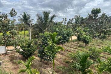 Bed and Breakfast River House Farmstay