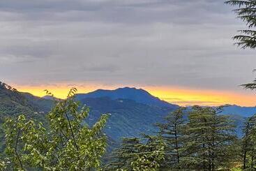 ホテル Tranquil Inn Mashobra Off Beat