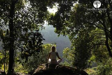 リゾートホテル Ferndale Retreat