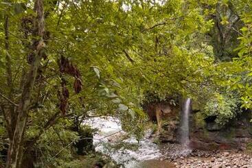 פנסיון Boho By Arte Hostal Boquete