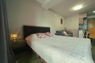 پانسیون Didveli Gallery Apartment B 309