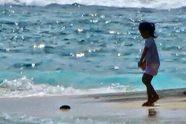 פנסיון Fehikula Guesthouse