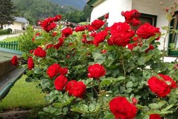 هتل Appartementhaus Zillertal