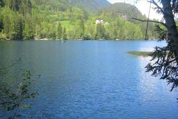 ホテル Berghaus Drei Tannen