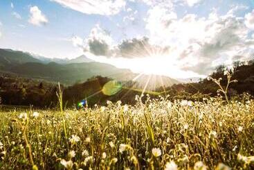 בית מלון כפרי No Definitivamente