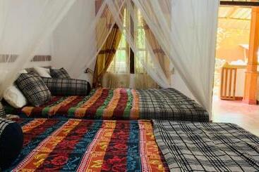 膳宿费 Sigiriya Rock Way Elephant Path