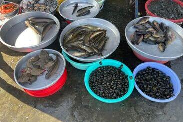 هاستل Mekong Delta Official