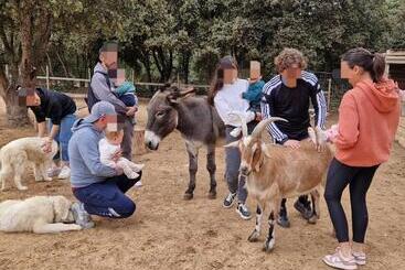 Chambre D Hôtes En Roulotte