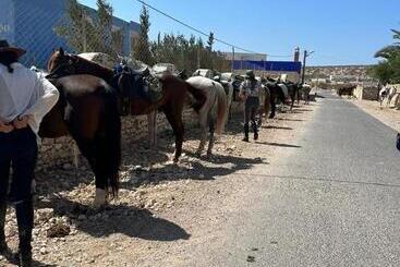 هتل Surfcamplagrotte