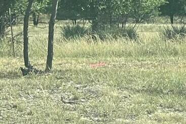 公寓式酒店 Apt 5 Dorsey At High Plains Lodge