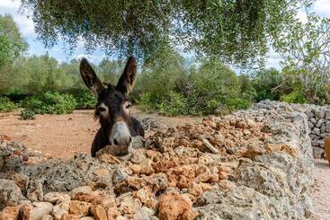Agroturismo Cal Tio 4, Yourhouse