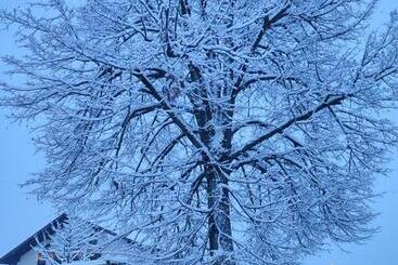 Frühstücks Pension Lichtenauer Hof