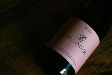 민박 Weingut & Gästezimmer Zillinger
