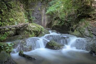 پانسیون Green Valley Resort