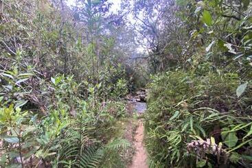 פנסיון Tahamies Hostal   Artesanos Y Turistas