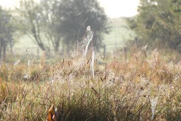 تختخواب و صبحانه ô Lit De L Ourthe